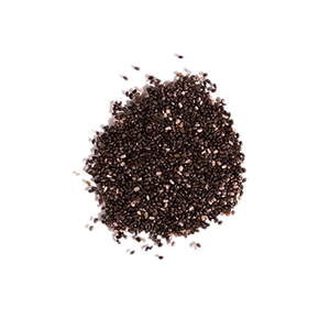 Chia Seeds Ingredient Thumbnail